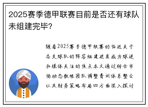 2025赛季德甲联赛目前是否还有球队未组建完毕？